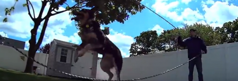 Sony ActionCam Viral Series – Double Dutch Dog