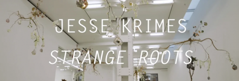 Jesse Krimes / “Strange Roots”